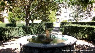 stello di Nelson-15-09-2014 07-48-10